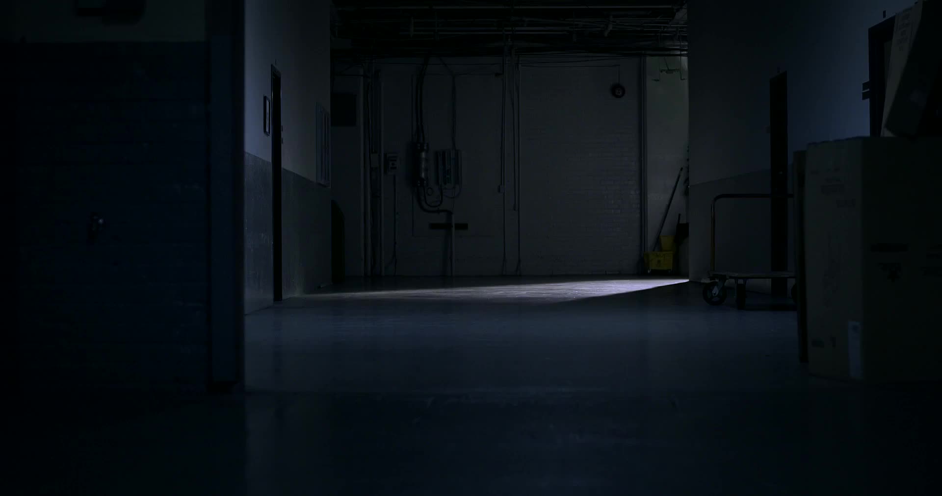 Andi Matichak in 'Assimilate'