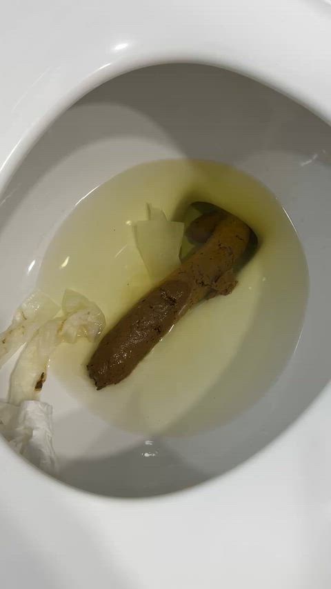 [F] Mistress Shits Big Loads