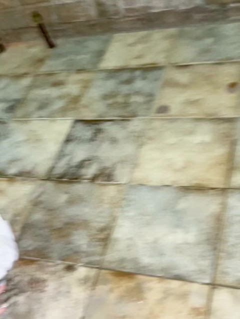 Amateur Asian Ass Blonde Doggystyle POV Pool Standing Doggy Swimming Pool Teen Porn GIF by populardick