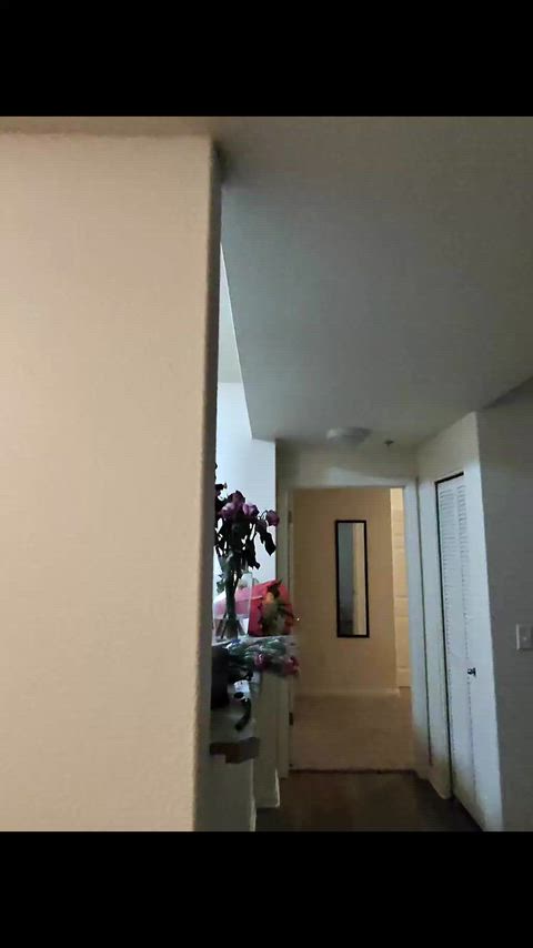 Was getting my squats in my new lulus