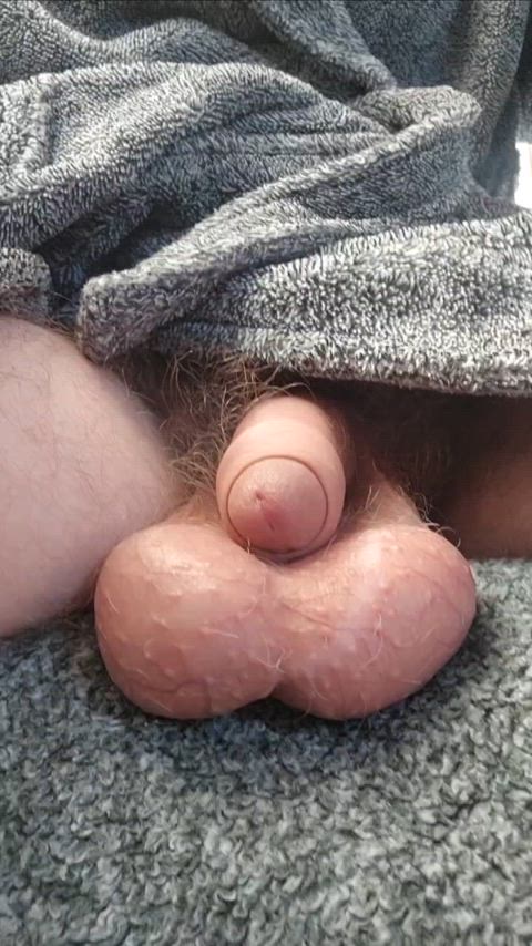 Balls Big Balls Cock Porn GIF by cab1122