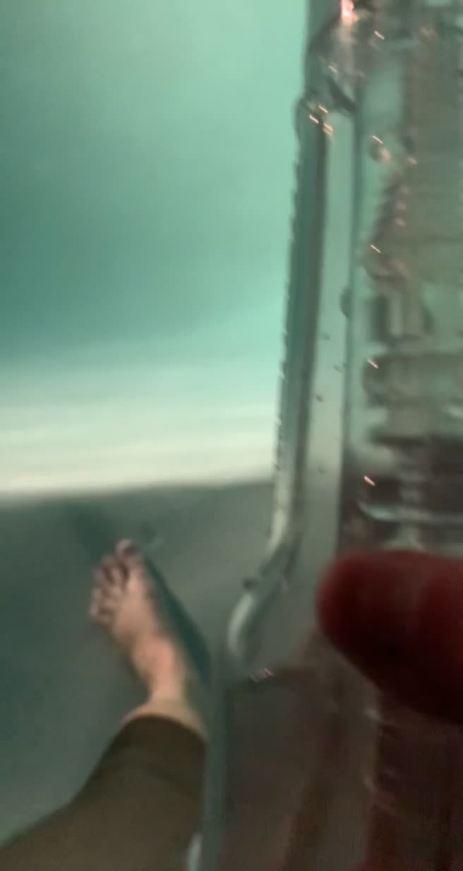 Anyone for a dip?