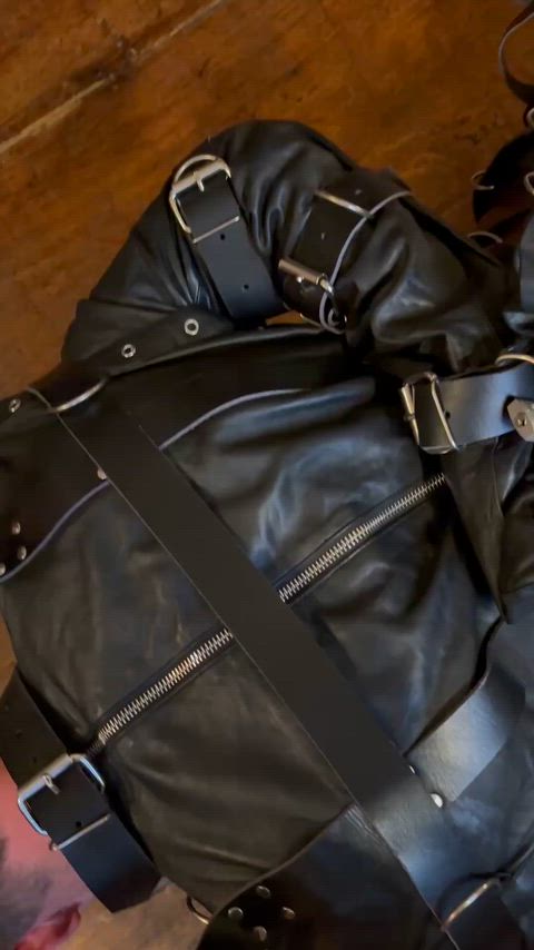 Pet time again, behave for me