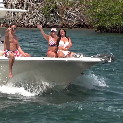 Big Tits Blonde Brunette Exhibitionist Flashing Huge Tits Natural Tits Outdoor Public Tits Porn GIF by populardick