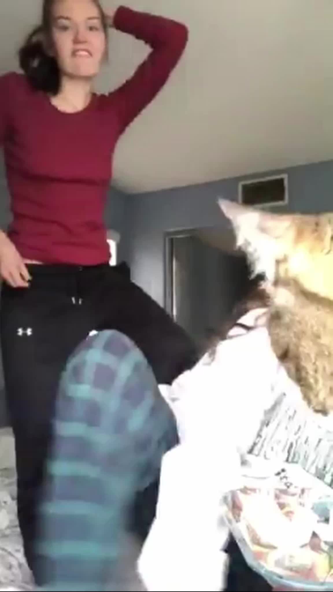 Kitty likes what he sees