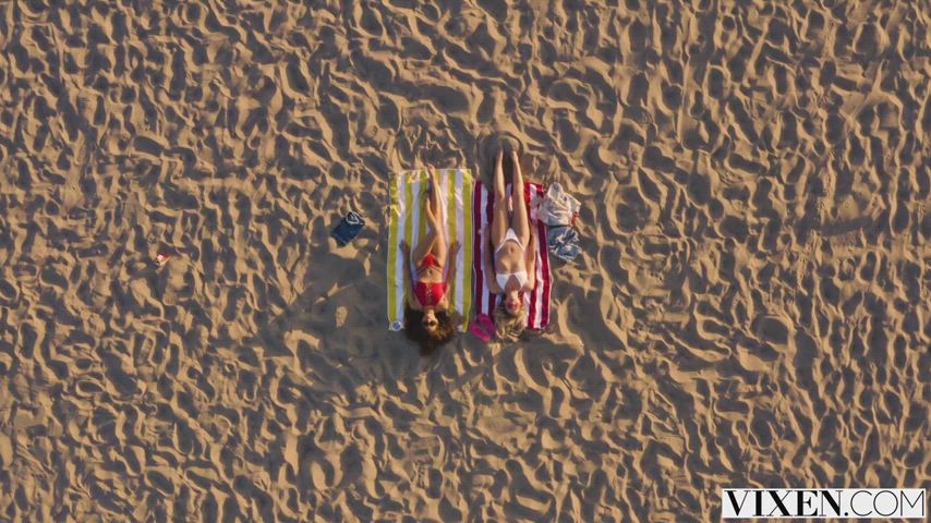 Babes Bikini Cecilia Lion Cute Funny Porn Khloe Kapri Porn GIF by mephisto31