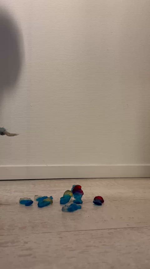 Who want to be crushed by my feet ? 😛