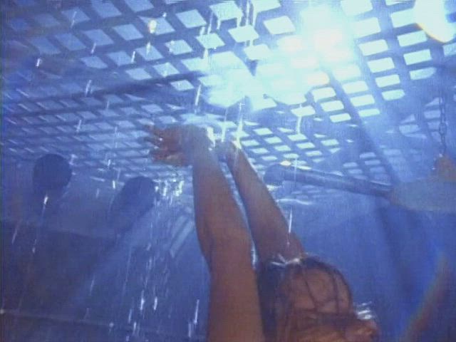 Porn GIF by celebsprincess