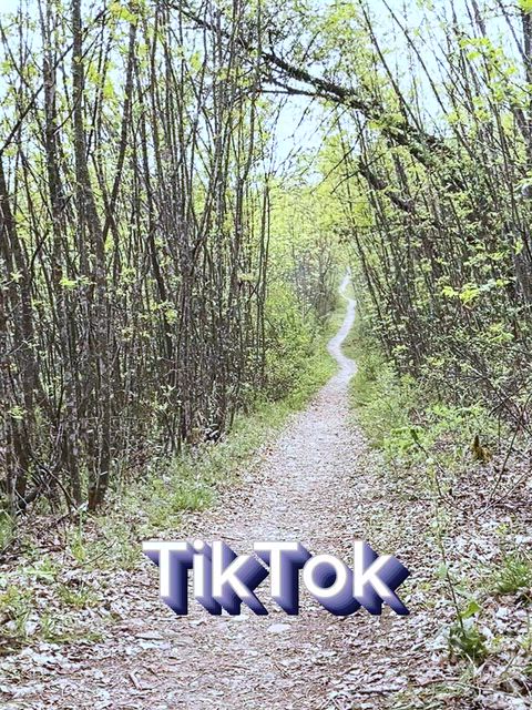TikTok VS Onlyfans thumbnail