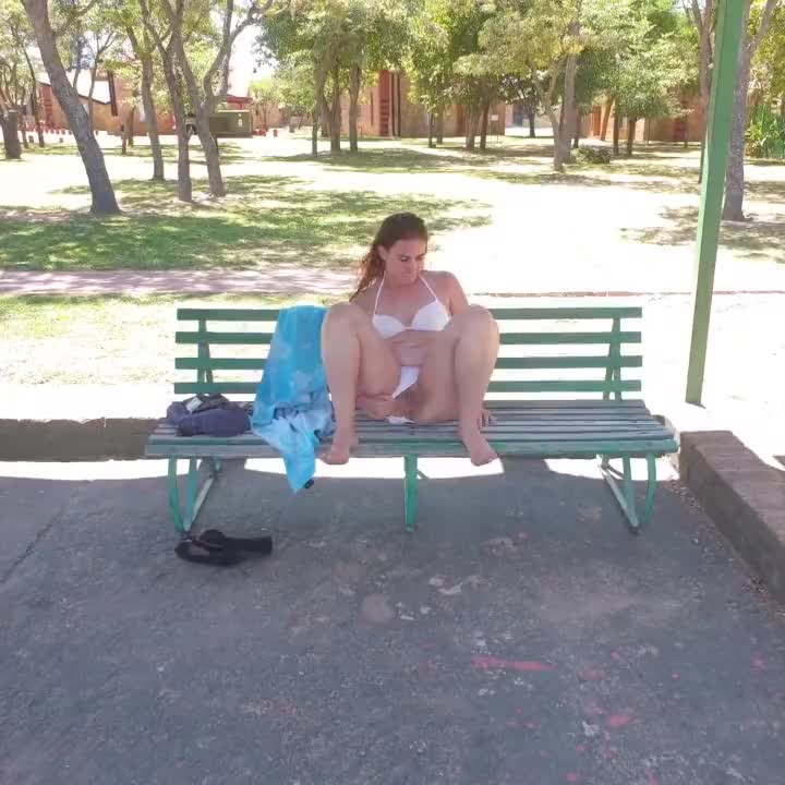 Park Bench Pee