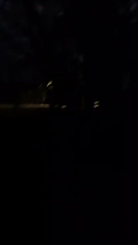 Wish someone drove by😵‍💫