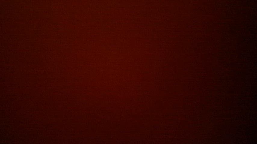 10 minutes after meeting my owner he was already skull fucking me silly