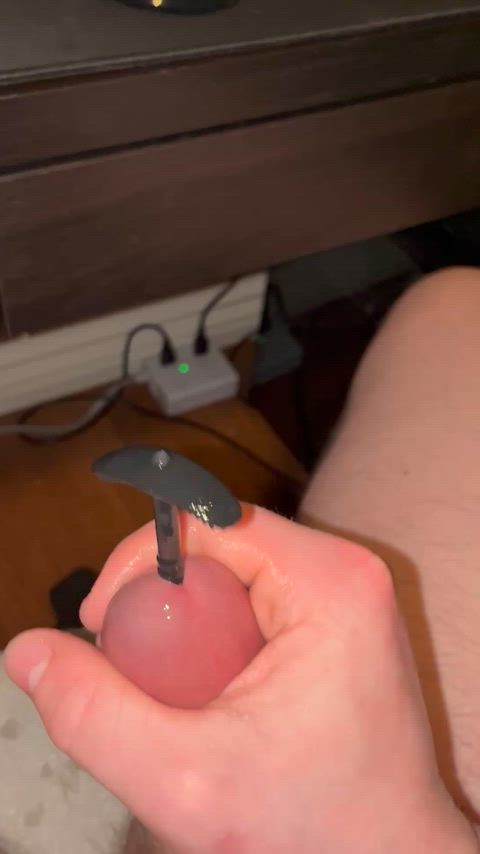 Cock Cum Sounding Porn GIF by specializedegg