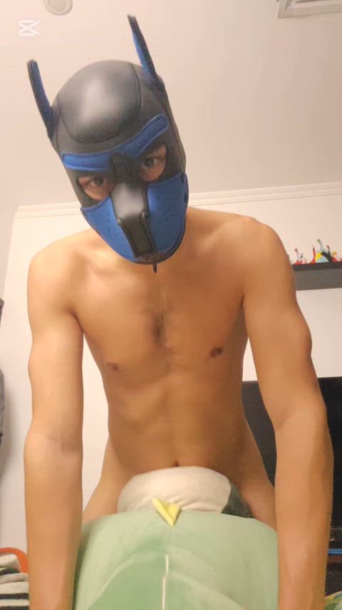 [29] Pup Gone Wild! Woof 🐶