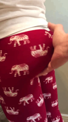 NSFW_GIF - Cute ELEPHANTS