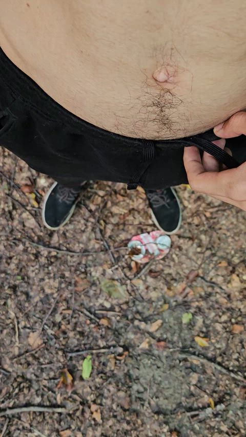 Wetting in a forrest