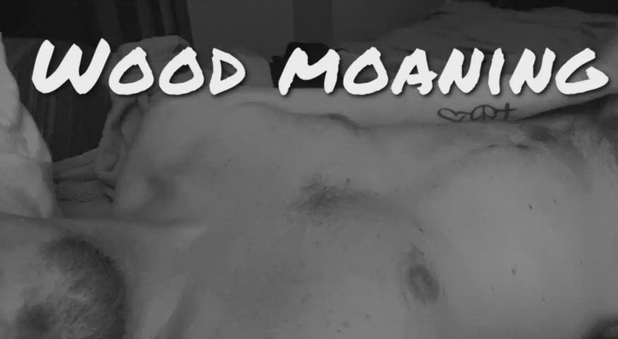 PeskyDryOregonsilverspotbutterfly thumbnail