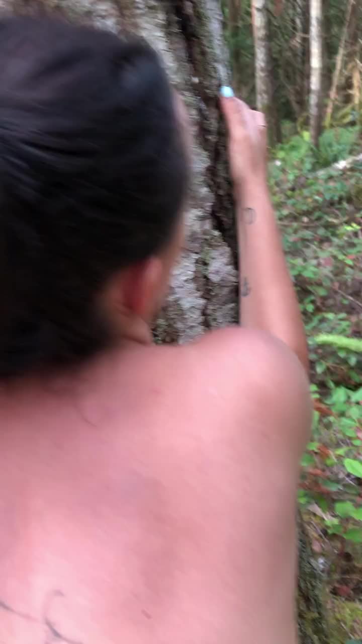 Tree hugger gone wild