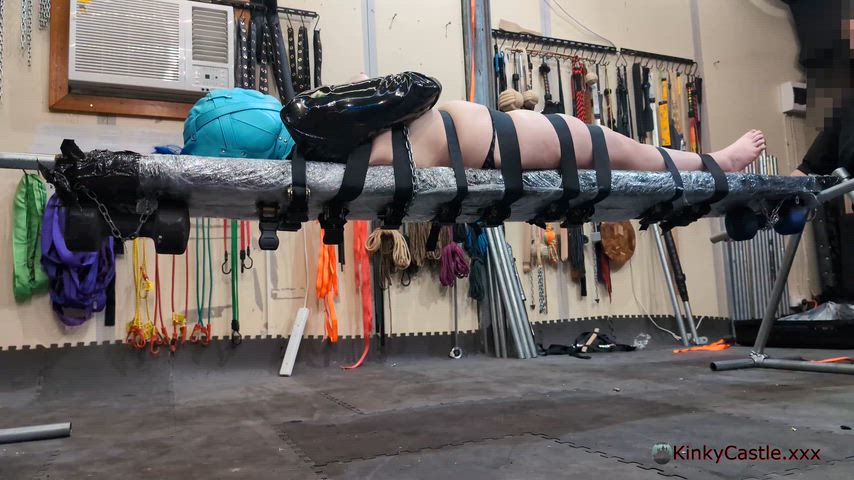 You can tell its training is nearly finished when it starts offering advice for its own preparation. [OC]