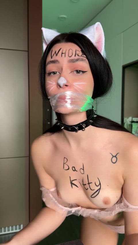 I'm a kitty cat. and I meow-meow-meow