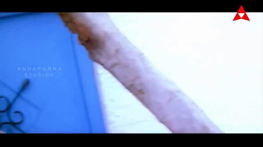 Ayesha Takia hot navel