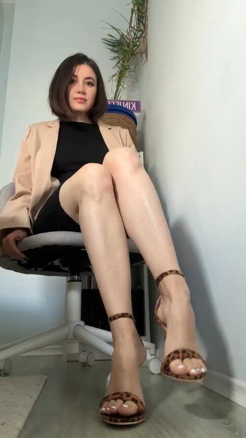 Legs Long Legs Office Secretary Porn GIF by internet_is