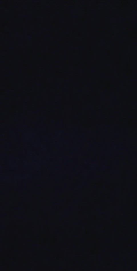 I wonder if you can handle my wild side