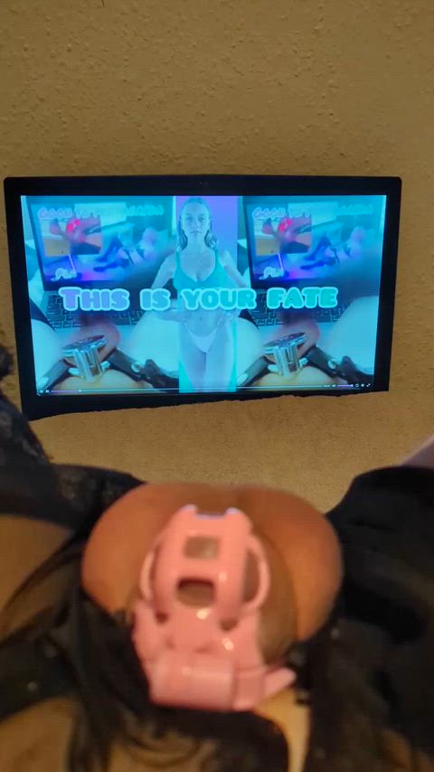 The slow ruin and destruction of my balls with plapping feels so amazing, i accepted my defeat