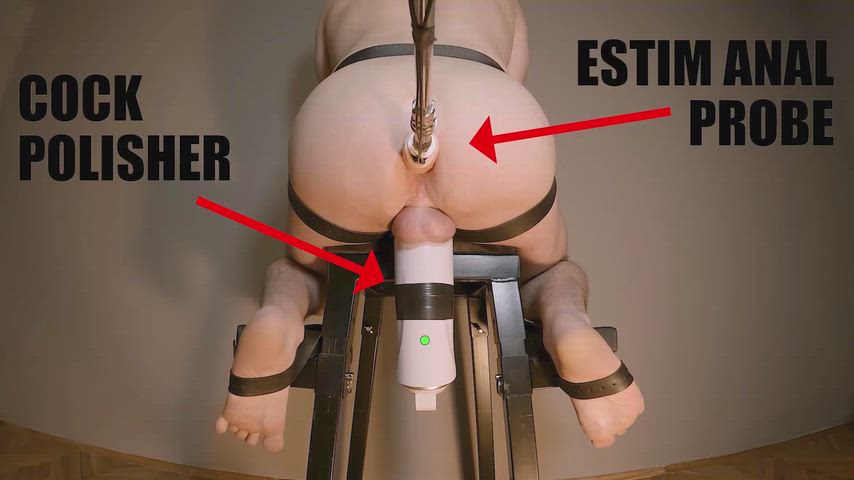 EXPERIMENT: BULL MILKING