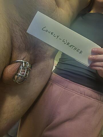 Amateur Chastity Real Couple Porn image by hubmissive_susband