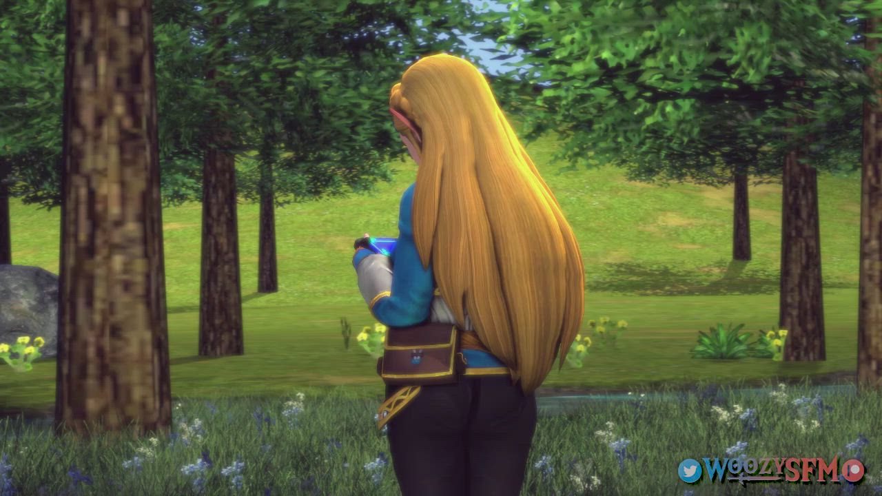 Zelda X-Ray Sheikah Slate