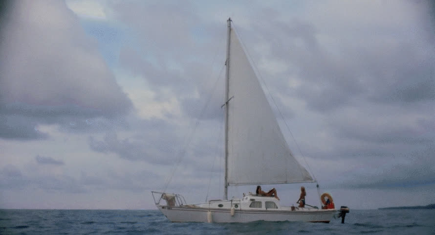 Carole Davis & Connie Lynn Hadden- Piranha II: The Spawning