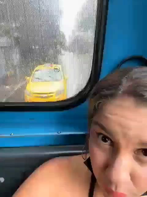 Bus Exhibitionism Exhibitionist Exposed Latina Masturbating Public Squirt Squirting r/ExposedToStrangers Porn GIF by populardick
