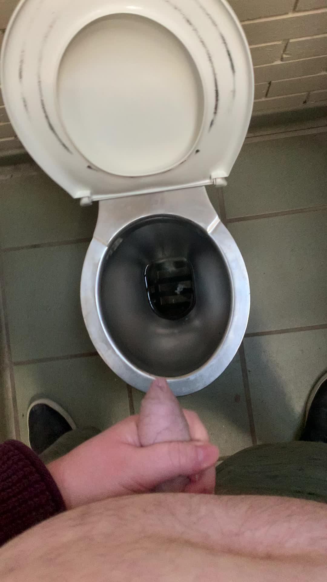 4 day load in a public toilet
