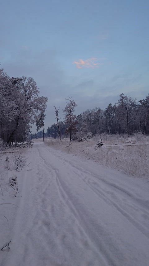 Come play in the snow