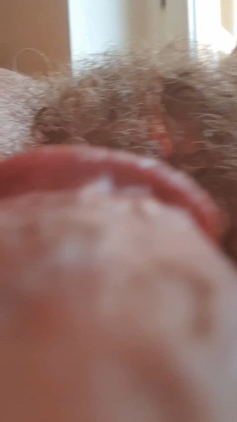 https://www.redgifs.com/watch/primevisiblehorseshoecrab