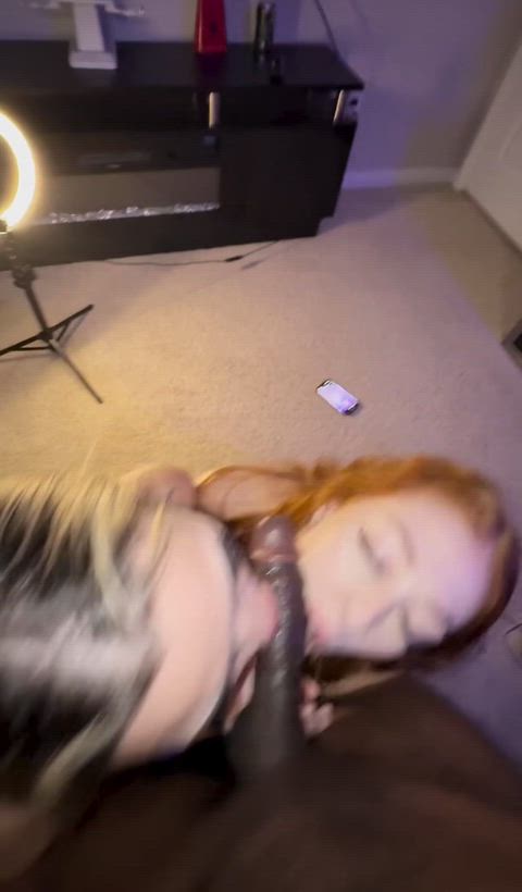 PristineMeagerYak thumbnail