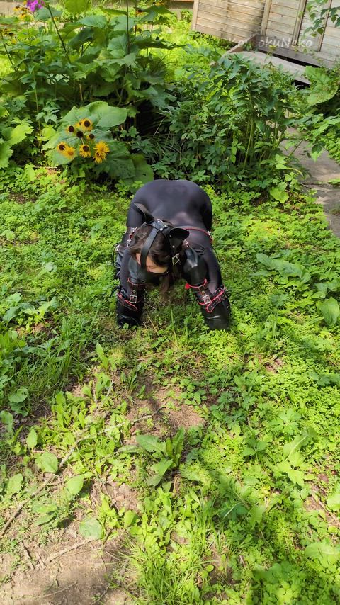 Playing with puppy girls in their bitchsuits outdoors is really important. A bit of movement and fresh air keeps them healthy and happy. Games like fetching a ball help them feel more connected to their role as pets and less like ordinary humans 🐶