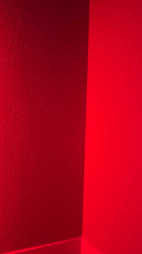 Nova Rae (@nova_raee_)