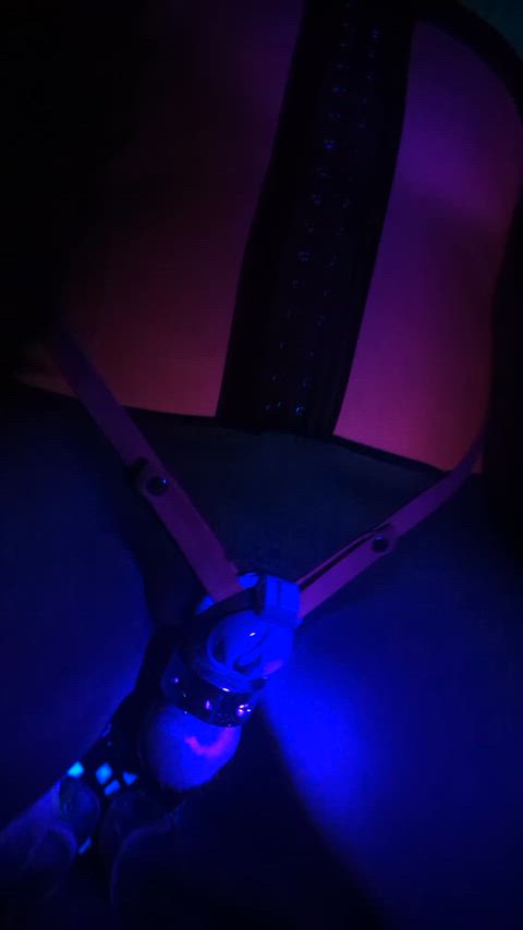 Chastity GIF by xjakekingsburyx