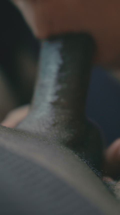 QualifiedChocolateCollie thumbnail