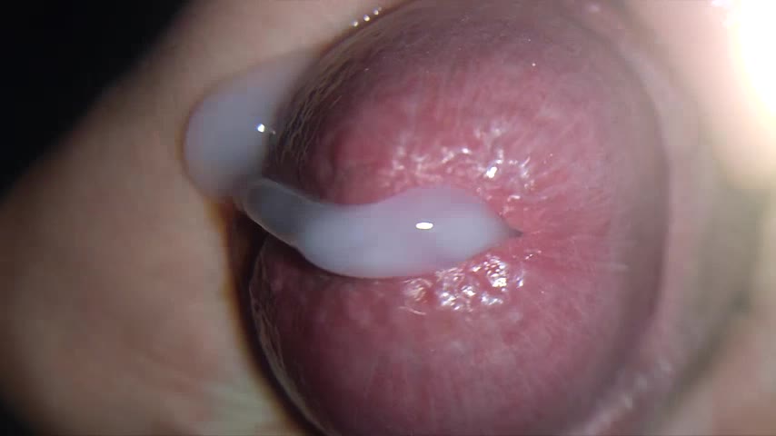 Closeup