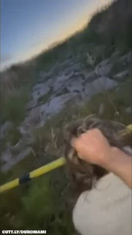 Amateur Anal Hair Pulling Hardcore Outdoor Public Real Couple Rough Standing Doggy Submissive Porn GIF by duromami