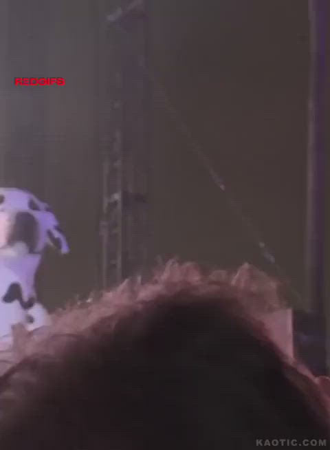 Amazing tits at a concert