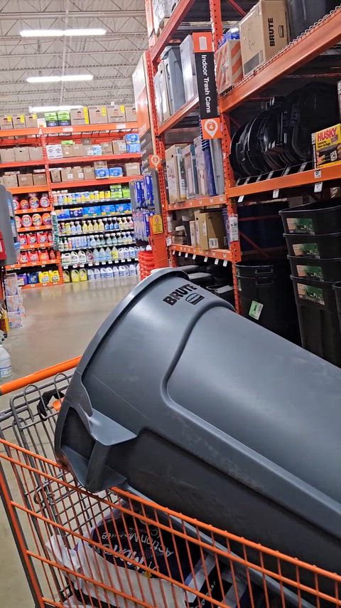 Wanted to flash, but there were so many cameras around. So in the hidey hole I went!