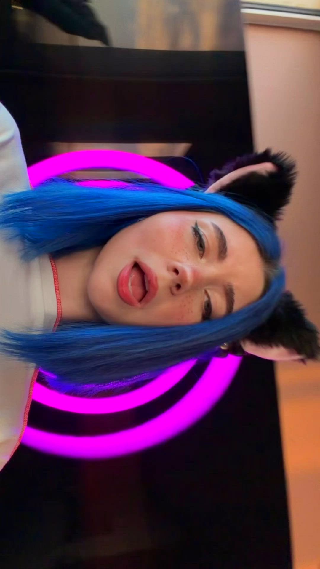Kitty is hungry
