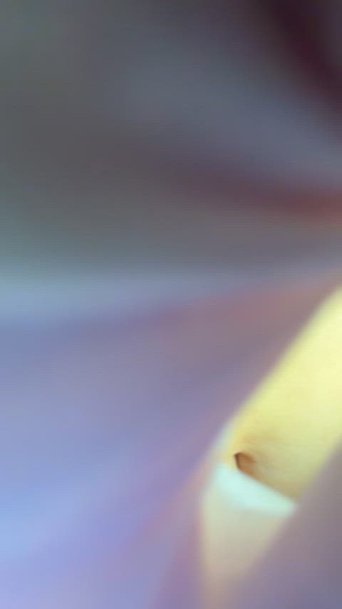 Would love your thoughts on my nurse body