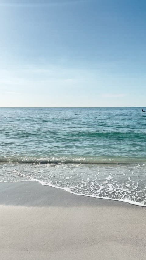 Exposed at the Beach! I’m not sorry !