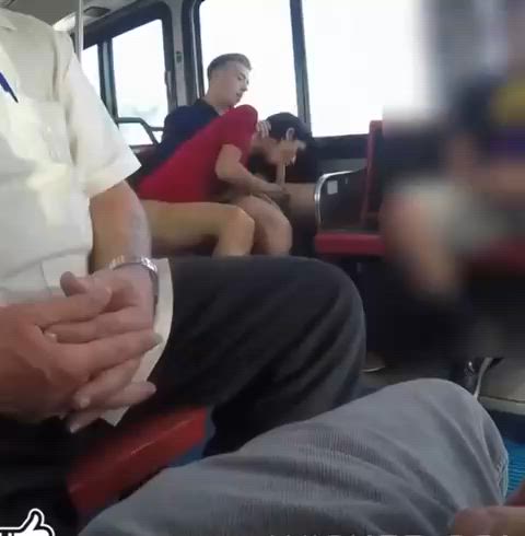 Amateur Bus Caught Exhibitionism Exhibitionist Public Sex Voyeur r/CaughtPublic r/ExposedToStrangers Porn GIF by populardick
