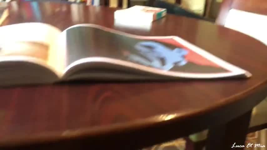 Taking a quick study break